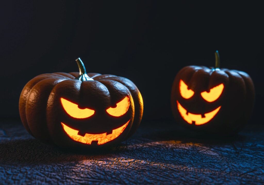 100 Pumpkins Being Repurposed to Feed Local Livestock