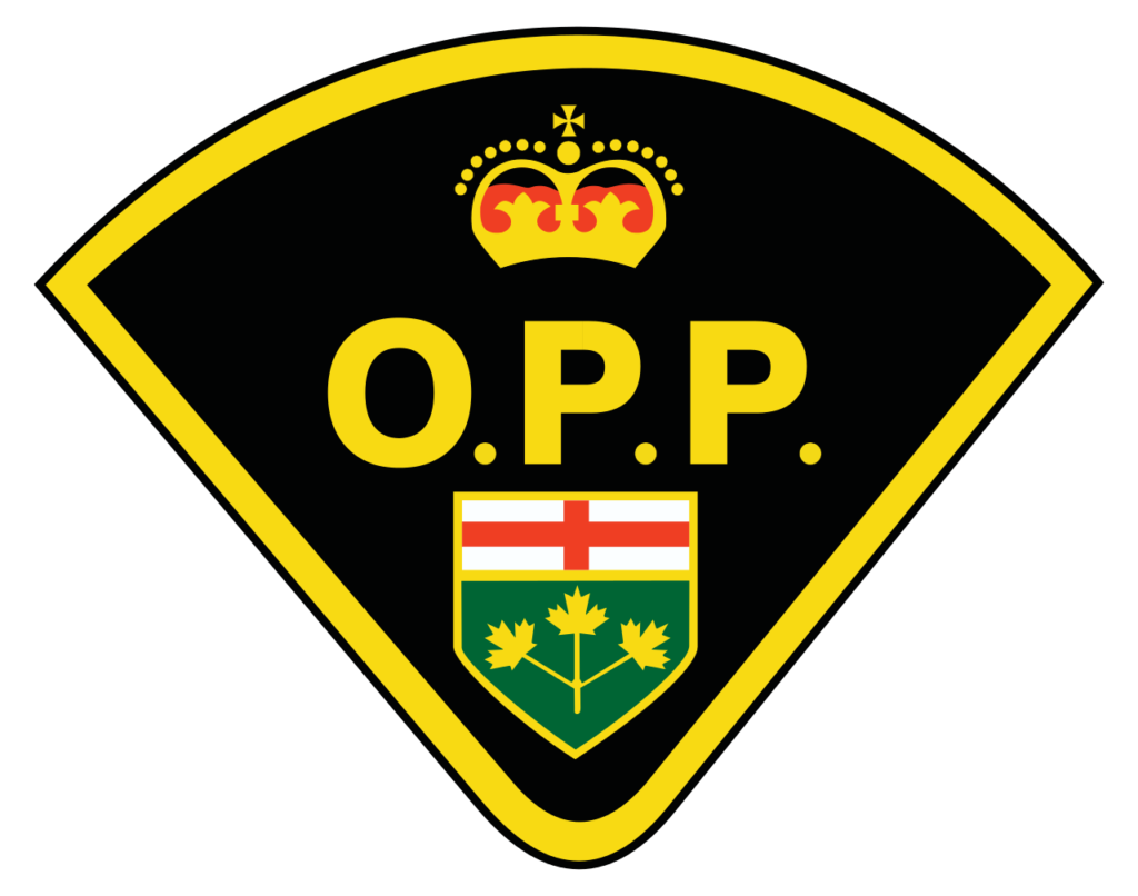 Police investigating Collision between SUV and Horse & Buggy Monday evening on Donnybrook Line