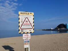 4 Beaches Deemed Unsafe for Swimming
