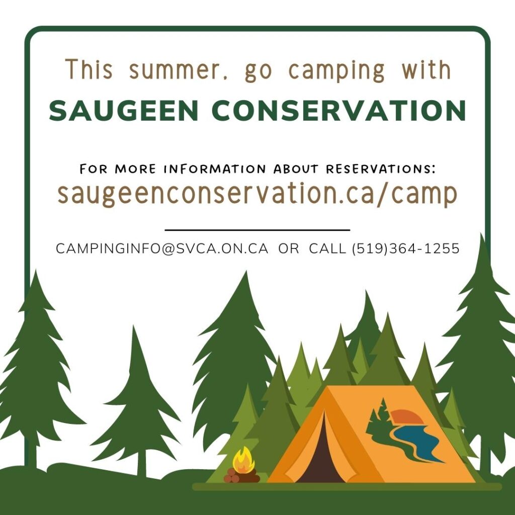 Saugeen Conservation now accepting Bookings for Area Campgrounds