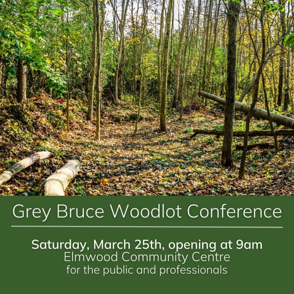 Grey Bruce Woodlot Conference set for Elmood on March 25th