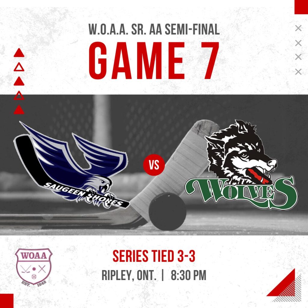 Saugeen Shores & Ripley Battle in Game 7 of Senior AA WOAA Semi-Finals Tonight in Ripley