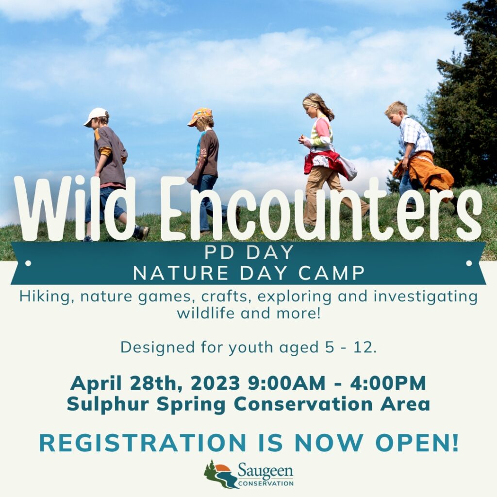 Saugeen Conservation offering Youth a Wild Encounter at PD Nature Day Camp Apr. 28th