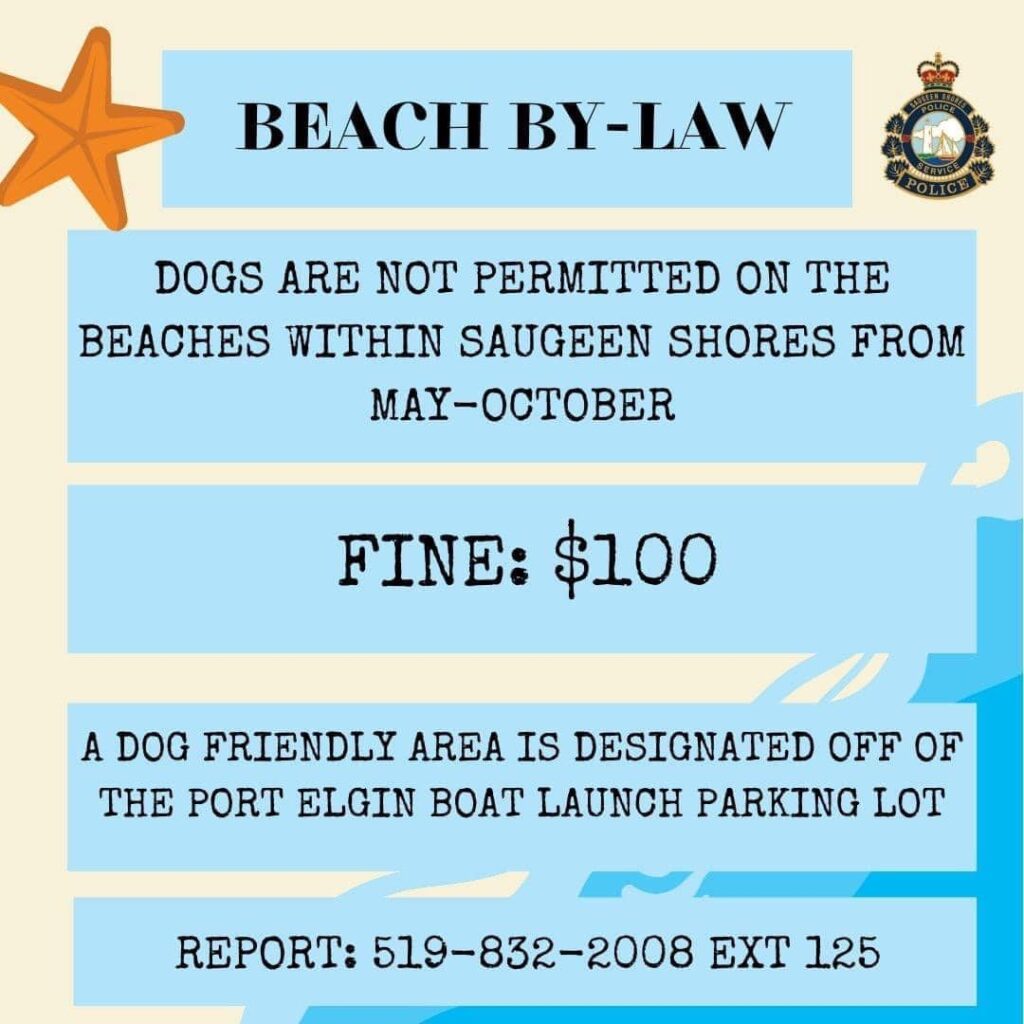 Saugeen Shores reviewing By-Laws including Beach Bylaw