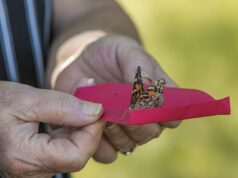 Huron Hospice Marking 10 Years of the Butterfly Release