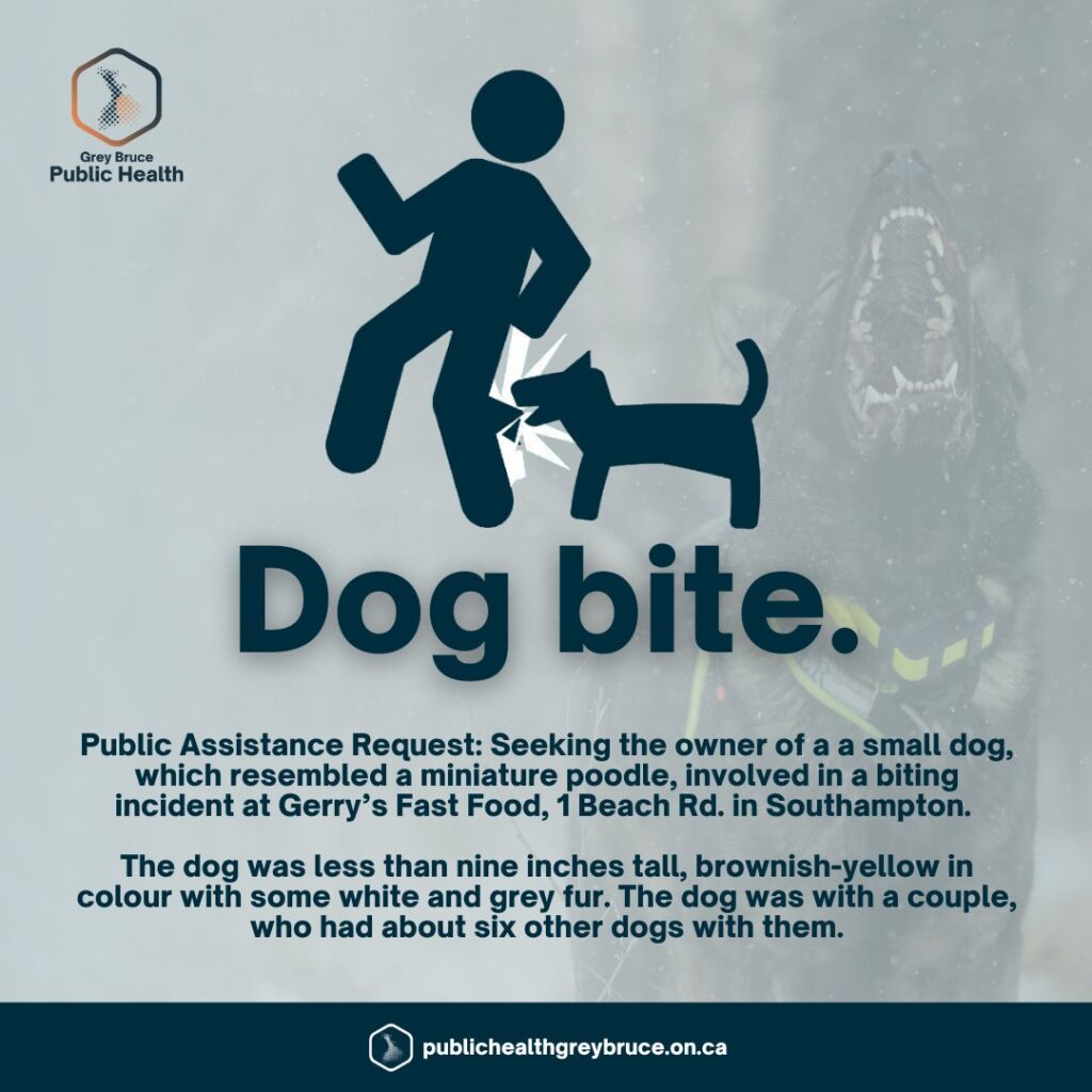 Grey Bruce Public Health seeking dog involved in Biting Incident in Southampton last Friday