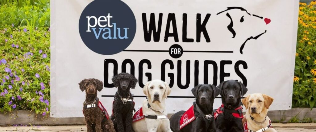 Goderich Lions holding Pet Valu Walk for Dog Guides Fundraiser on Oct. 1st