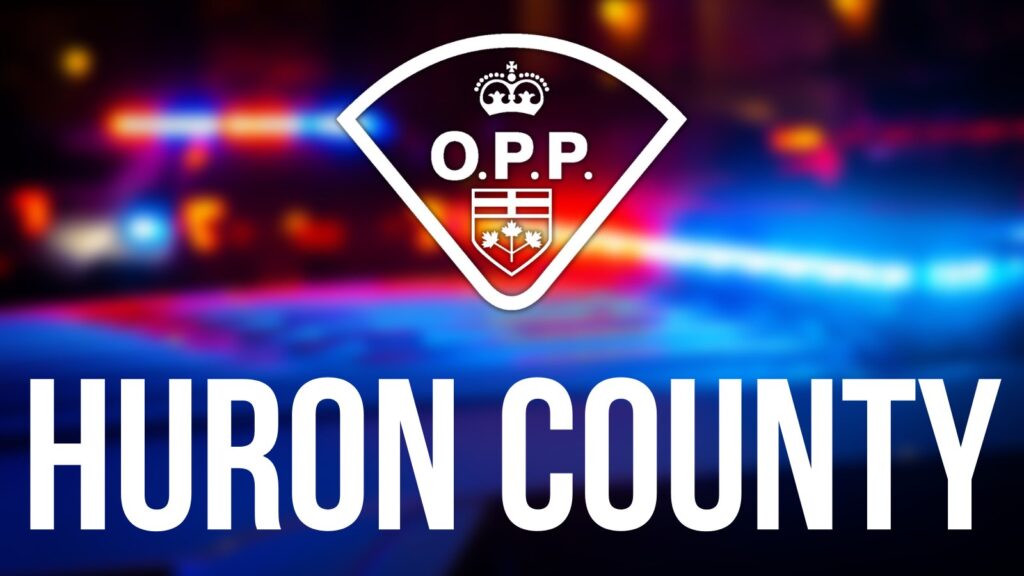 Second of two suspects in recent incident in Huron East & Central Huron is Charged