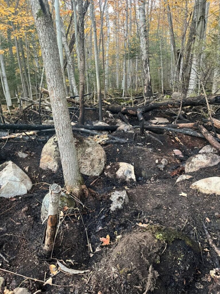 Wildfire Considered Suspicious