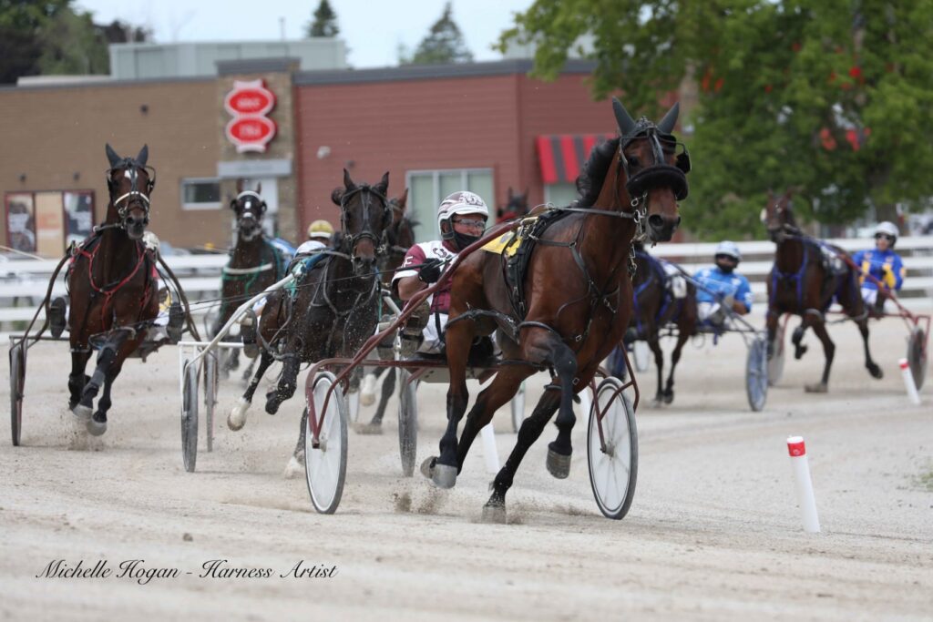 Tenders Accepted for Hanover Raceway Renovations