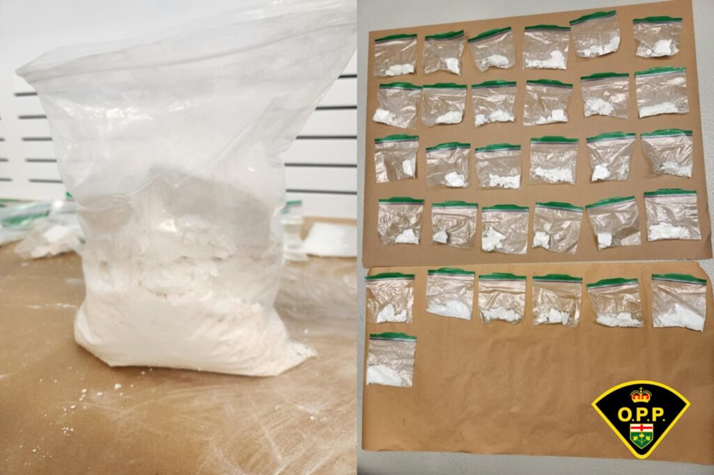 Search Warrant Digs Up 0,000 in Drugs