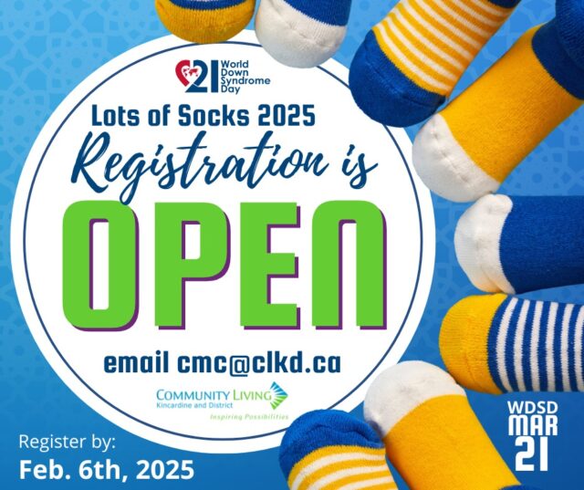 lots of socks 2025 image