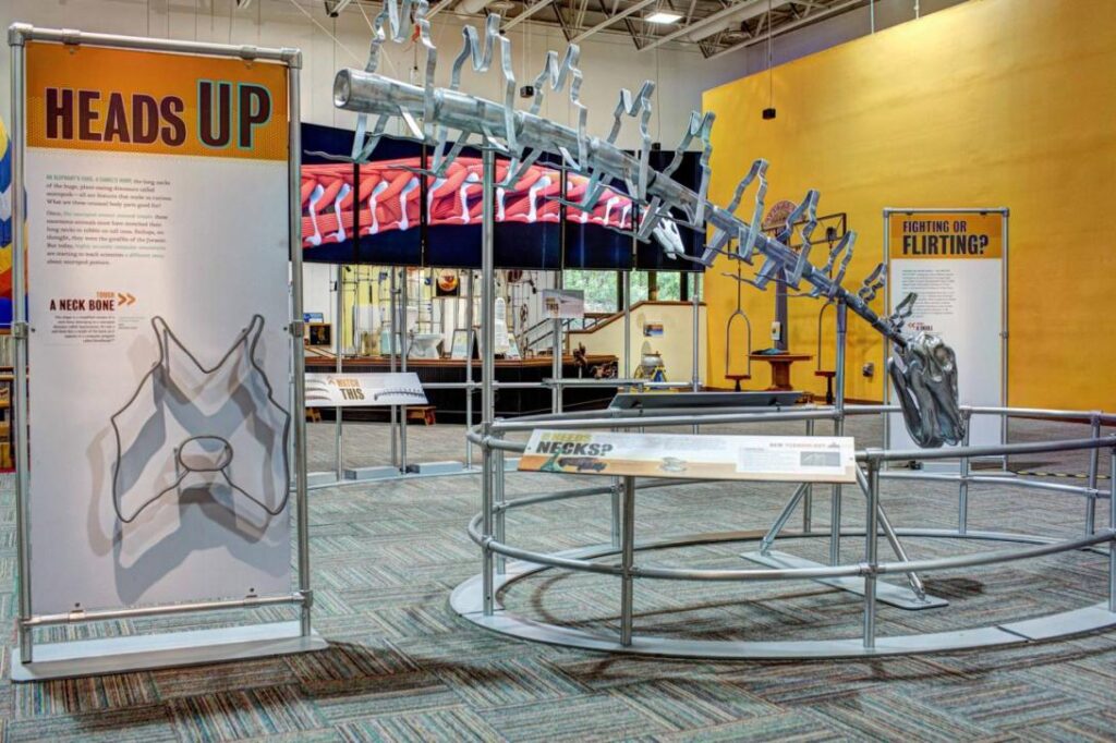 Dinosaur Exhibit Arrives at Grey Roots Museum