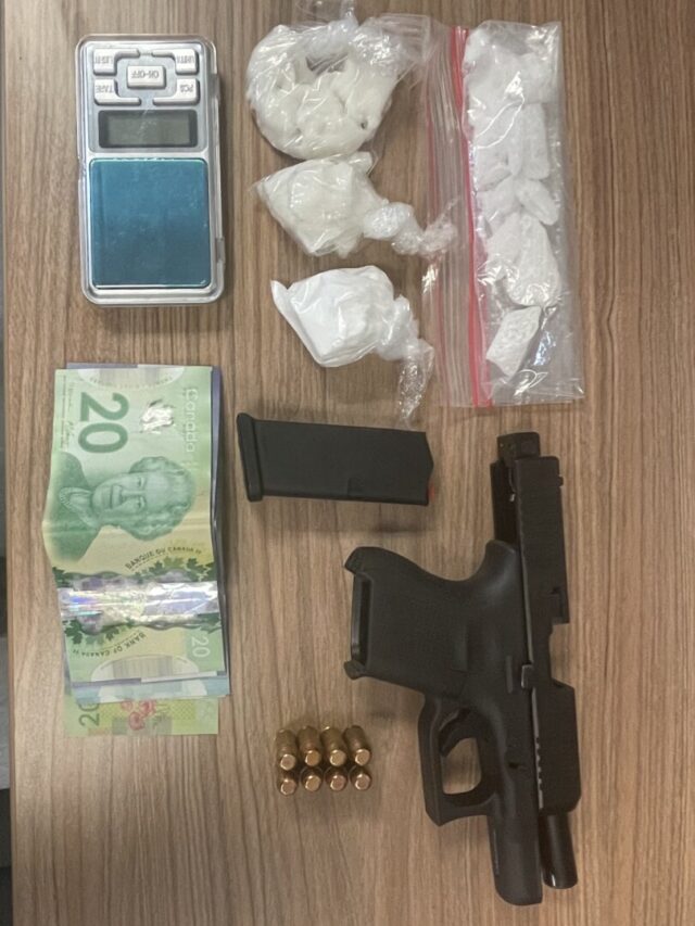 Grey bruce OPP Firearm-Drugs