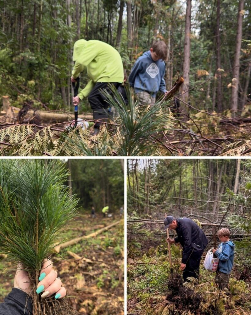 Over 3000 Trees and Shrubs Planted at Stoney Island