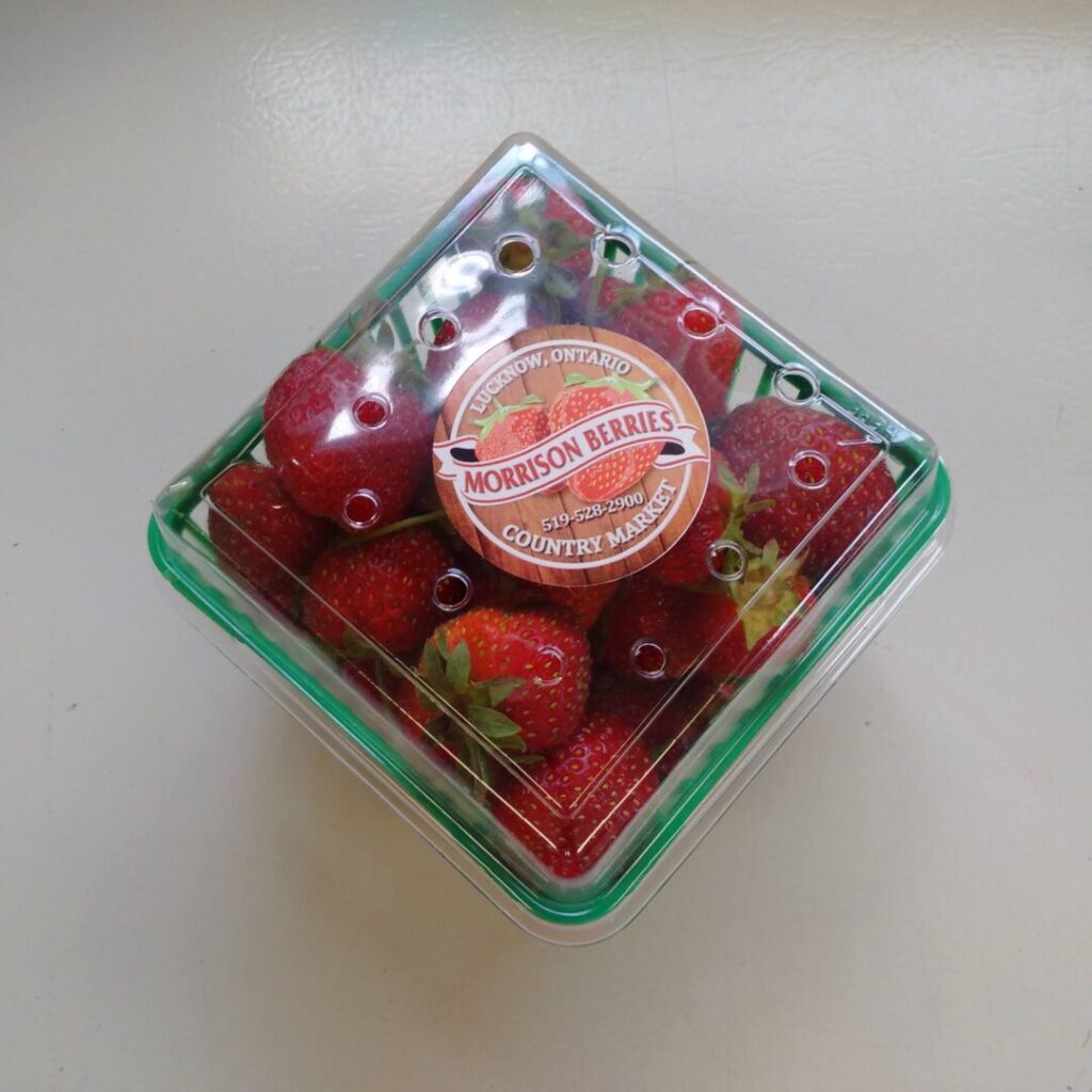 Morrison Berries Set for Launch of Huron County Taste Trail