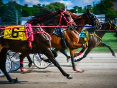 Vic Hayter Memorial Invitational Trot Goes Sunday