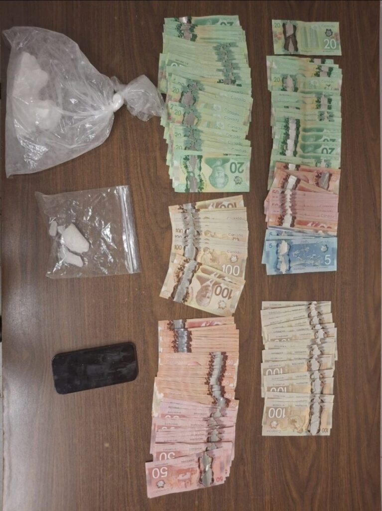 Stop Digs Up Drugs and Cash in Hanover