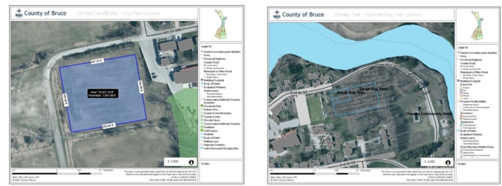 Chesley Kinettes Looking at Off Leash Dog Park