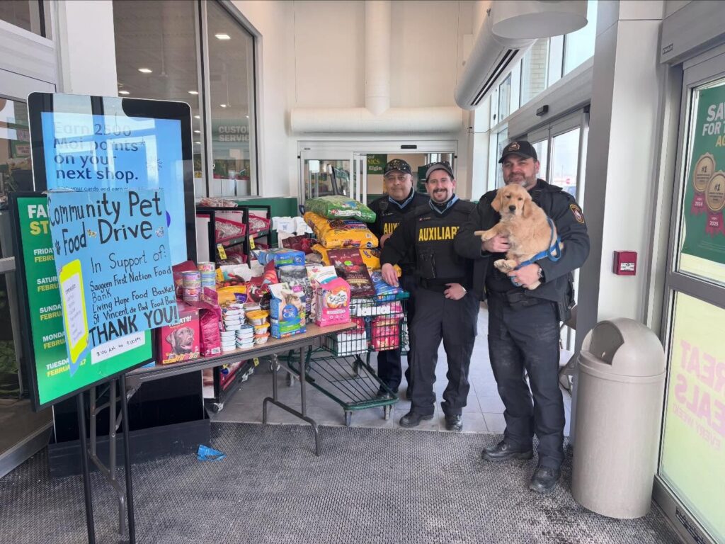 Pet Food Donations Pour in During 3rd Annual Pet Food Drive