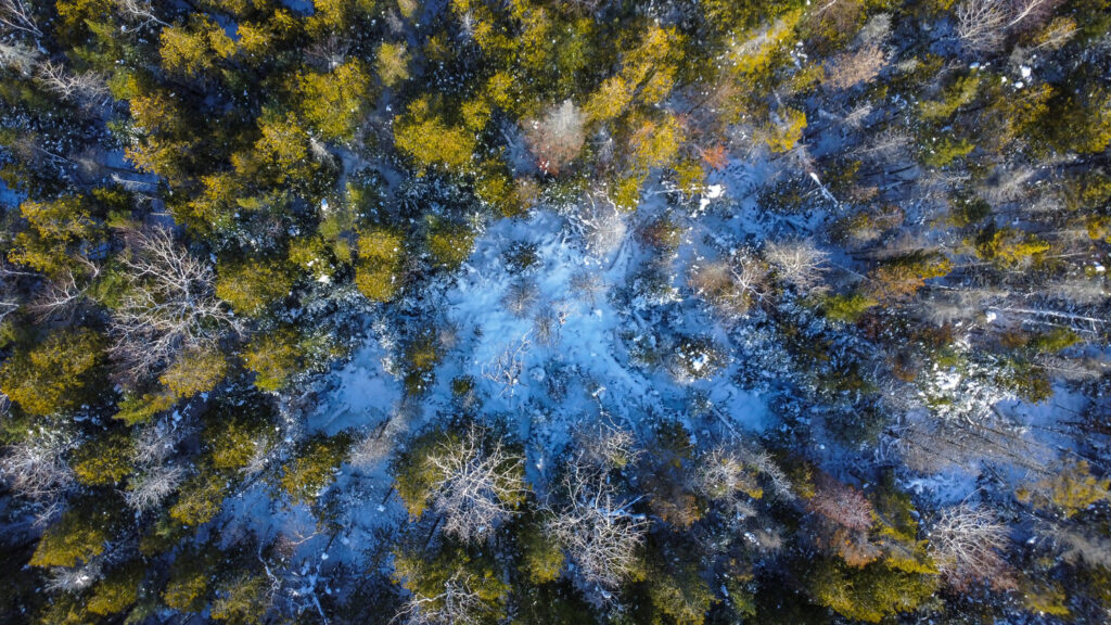 Baptist Harbour Protecting Water and Benefiting Local Community