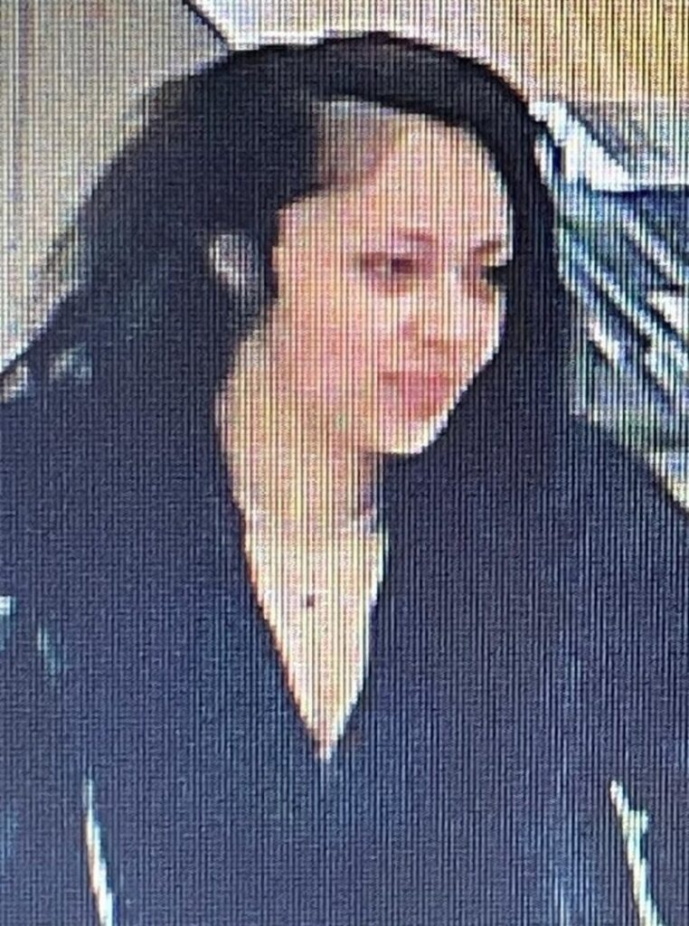 Hanover Police Looking for Woman in Fraudulent Credit Card Purchases