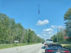 Driver Spotted Driving Almost 200km