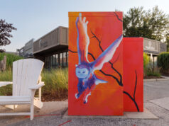 New Traffic Control Box Murals Unveiled