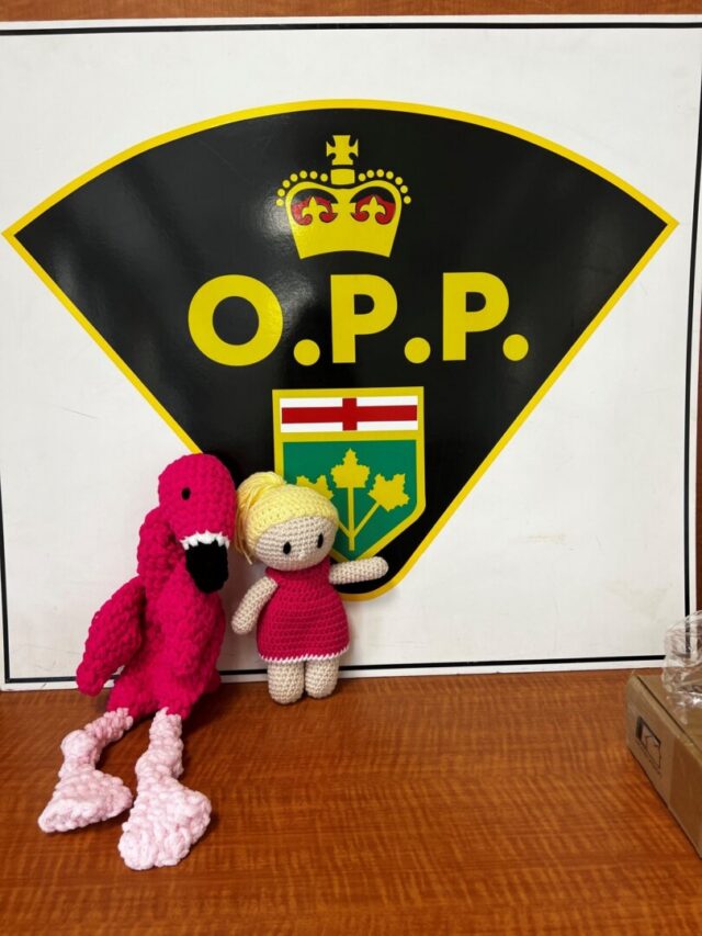 Grey Bruce OPP Launch Comfort Companions Campaign